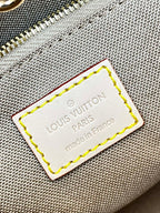 ONTHEGO 25 WEISS-BRAUN MONOGRAMM-LEINWAND 