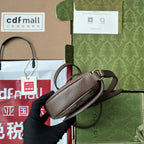 OPHIDIA MINI-SCHULTERTASCHE 20 MIT WEBSEITE IN BEIGE EBONY CANVAS MIX BRAUNES KALBSLEDER