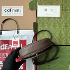 OPHIDIA MINI-SCHULTERTASCHE 20 MIT WEBSEITE IN BEIGE EBONY CANVAS MIX BRAUNES KALBSLEDER