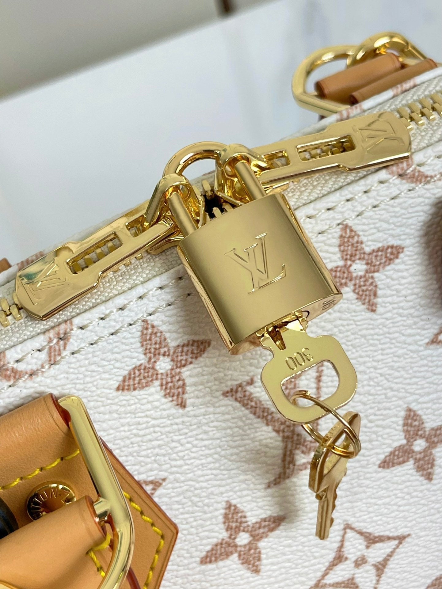 ALMA BB 25 IN WEISS MONOGRAMM DUNE LEINWAND GOLDENE HARDWARE