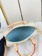 SPEEDY BANDOULIÈRE 20 IN PISTAZIEN-DAMIER-RIESEN-CANVAS-GOLD-HARDWARE