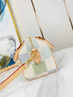 SPEEDY BANDOULIÈRE 20 IN PISTAZIEN-DAMIER-RIESEN-CANVAS-GOLD-HARDWARE