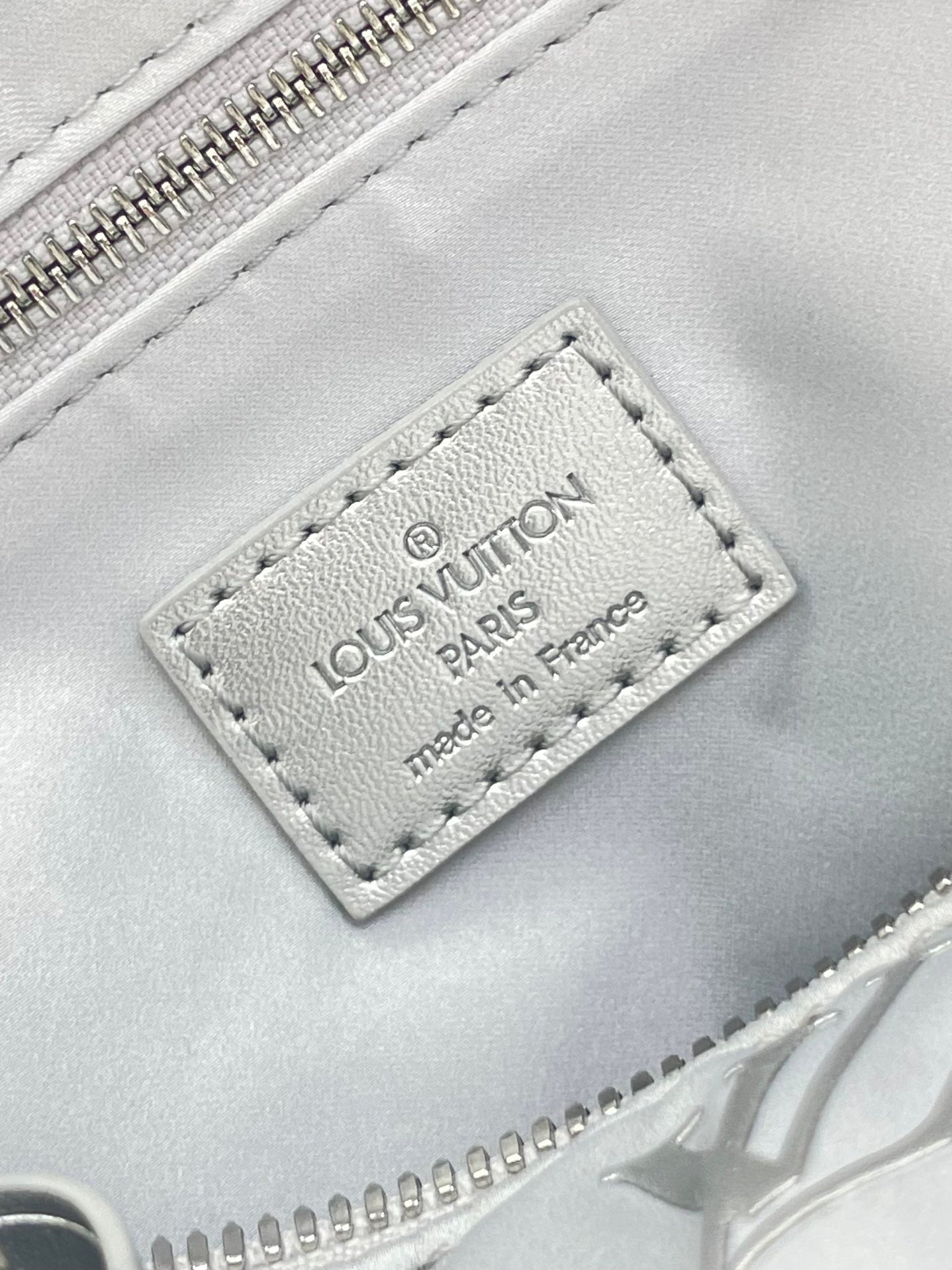 SPEEDY BANDOULIÈRE 25 IN FADIENT SILVER MONOGRAM NYLON SILBER HARDWARE