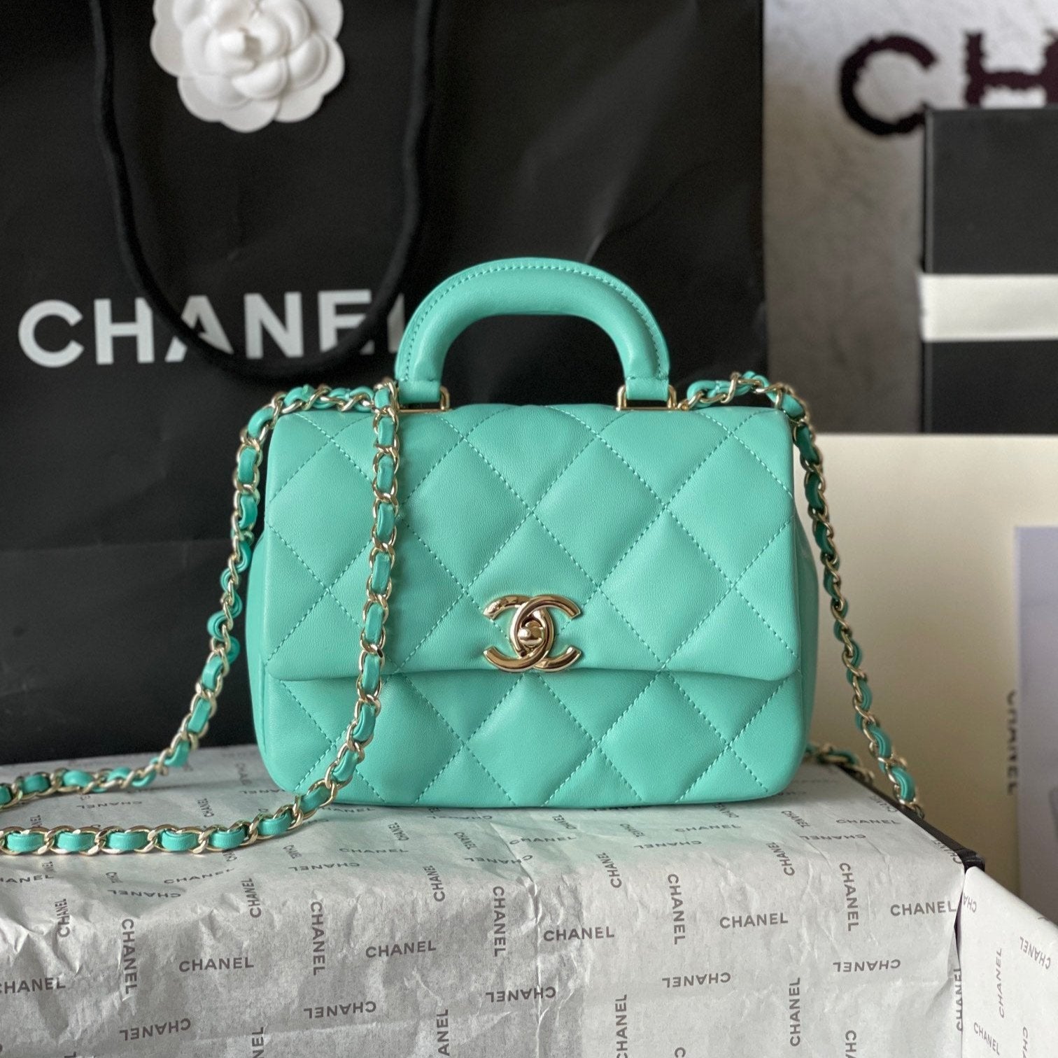 CC 20 BAG IN PERSIAN GREEN CALFSKIN GOLD HARDWARE