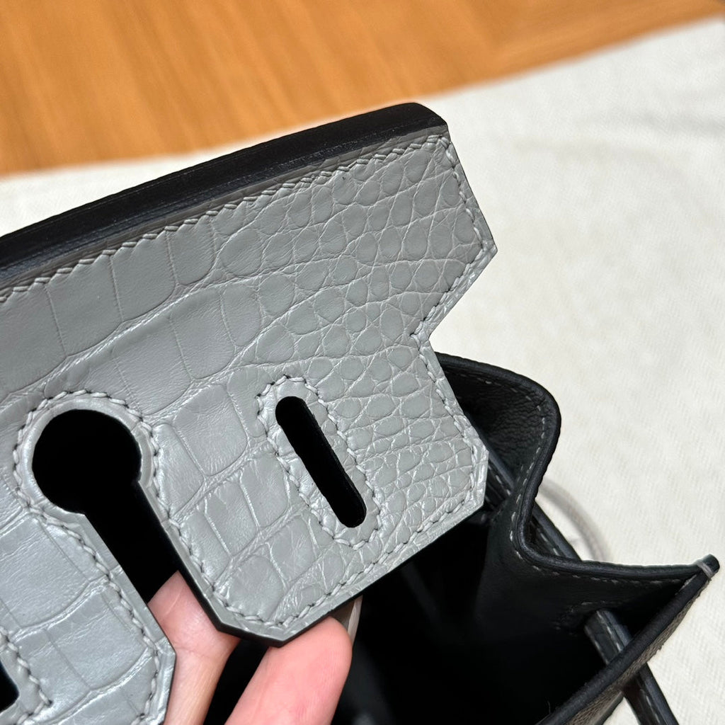 BIRKIN FAUBOURG TOUCH 20 IN TAUBENGRAUEM KALBSLEDER MIT SILBERNEN BESCHLÄGEN (AUF BESTELLUNG GEFERTIGT)