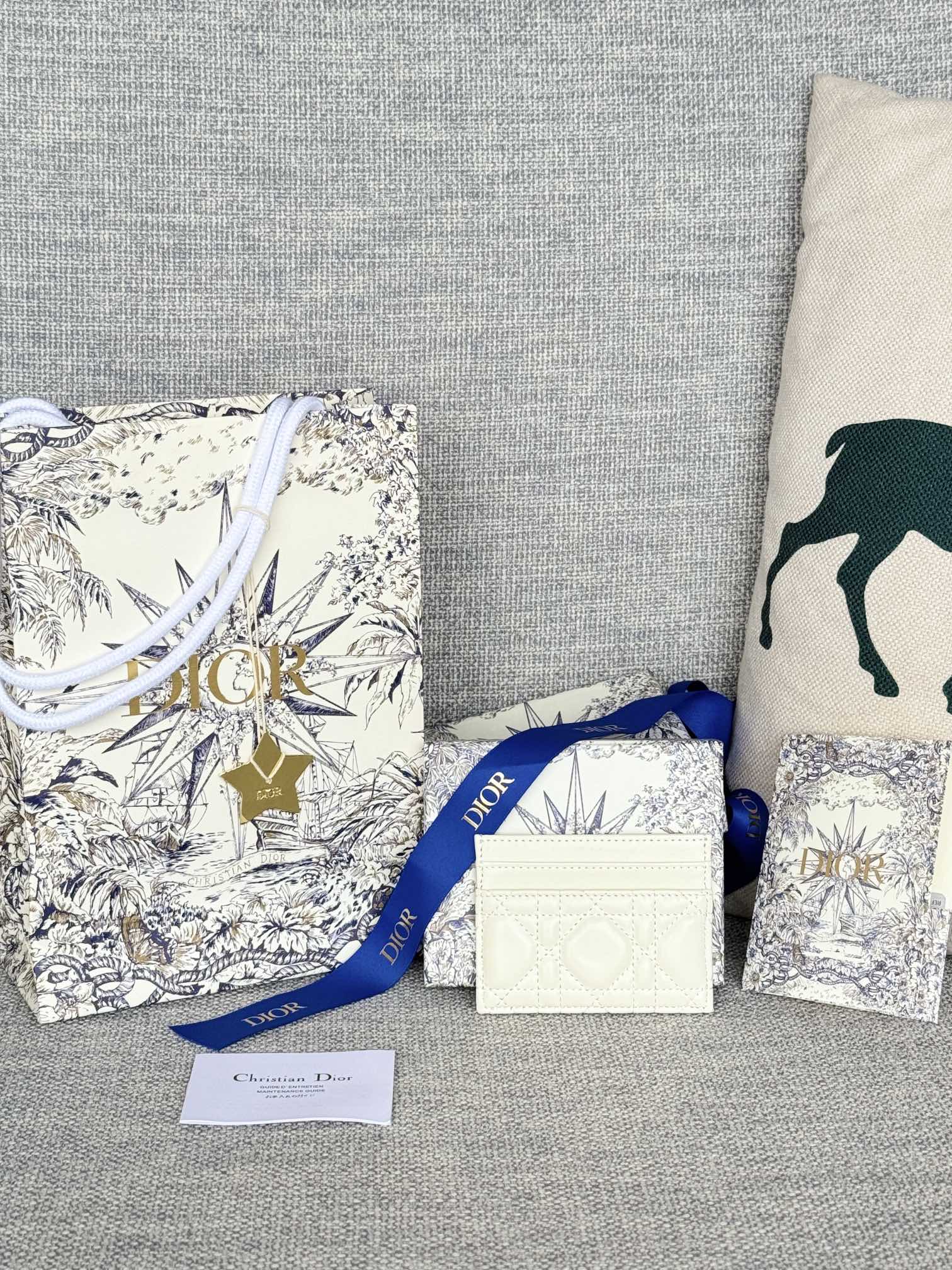 CARO FREESIA CARD HOLDER 10 IN WHITE CANNAGE CALFSKIN