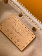 POCHETTE ACCESSOIRES BAG 22 IN MULTICOLOR MONOGRAM CANVAS AND COWHIDE