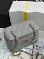 VANITY CASE 17 CRYSTAL STUDDED LOGO IN GREY CALFSKIN GOLD HARDWARE